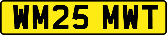WM25MWT