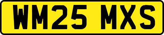 WM25MXS