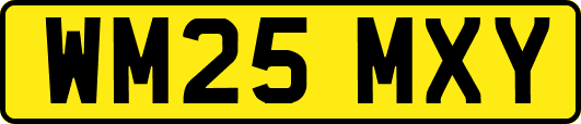 WM25MXY