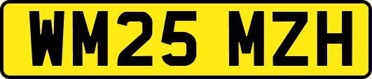 WM25MZH