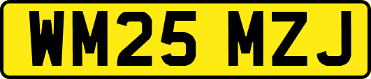 WM25MZJ