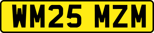 WM25MZM