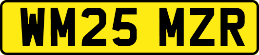 WM25MZR