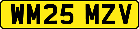 WM25MZV
