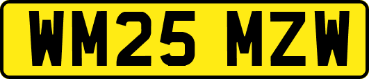 WM25MZW
