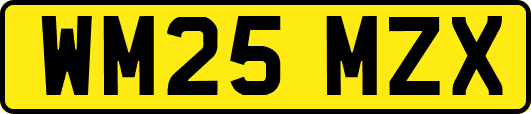 WM25MZX