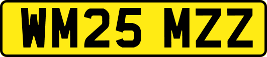 WM25MZZ