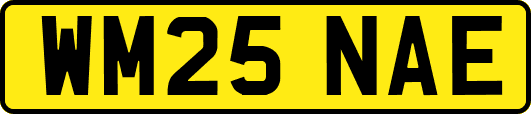 WM25NAE