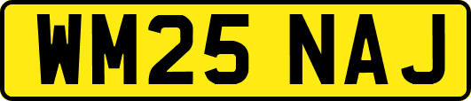 WM25NAJ