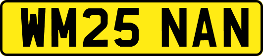 WM25NAN