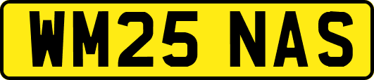 WM25NAS