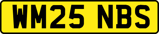 WM25NBS