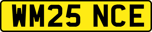 WM25NCE