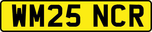 WM25NCR