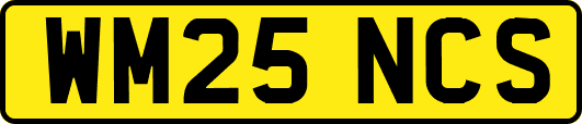 WM25NCS