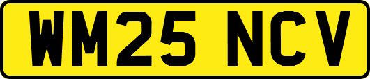 WM25NCV