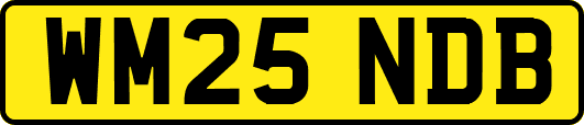 WM25NDB