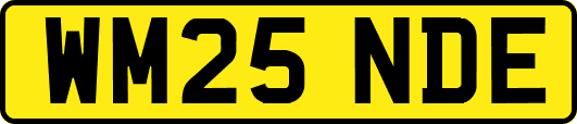 WM25NDE