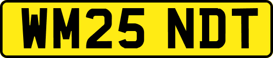WM25NDT