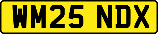 WM25NDX