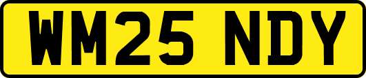 WM25NDY