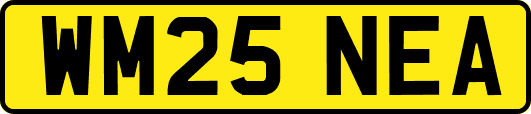WM25NEA