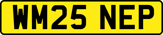 WM25NEP