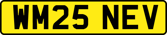 WM25NEV