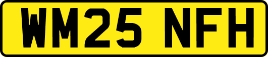 WM25NFH