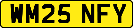 WM25NFY