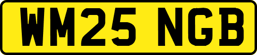 WM25NGB