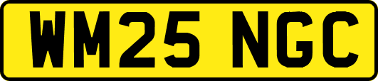 WM25NGC
