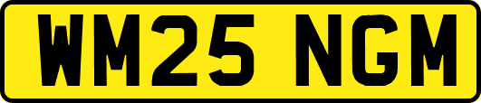 WM25NGM