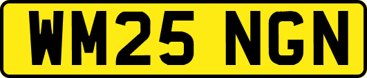 WM25NGN