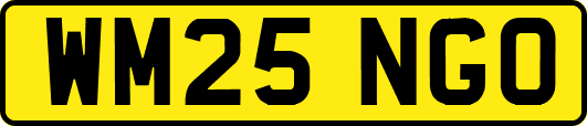 WM25NGO