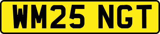 WM25NGT