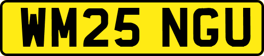 WM25NGU