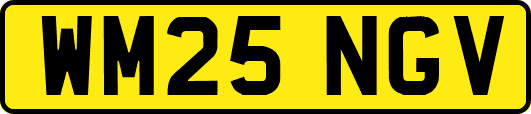 WM25NGV