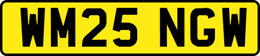 WM25NGW