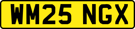 WM25NGX