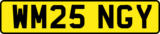 WM25NGY