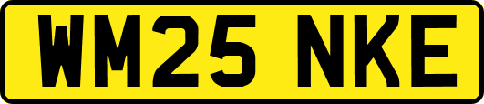 WM25NKE