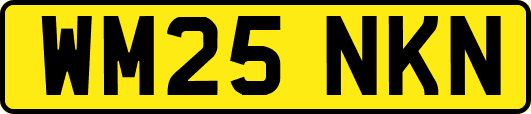 WM25NKN
