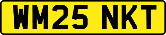 WM25NKT