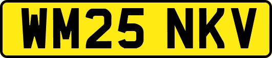 WM25NKV