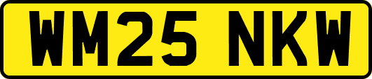 WM25NKW