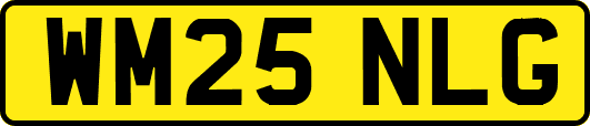 WM25NLG