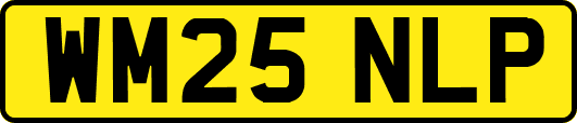 WM25NLP