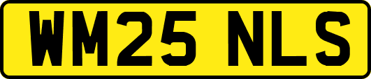 WM25NLS