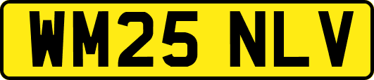 WM25NLV